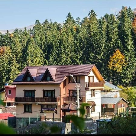 Hotel Casa Teleferic Buşteni Zewnętrze zdjęcie