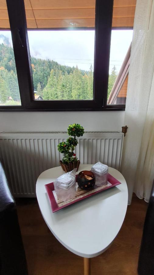 Hotel Casa Teleferic Buşteni Zewnętrze zdjęcie