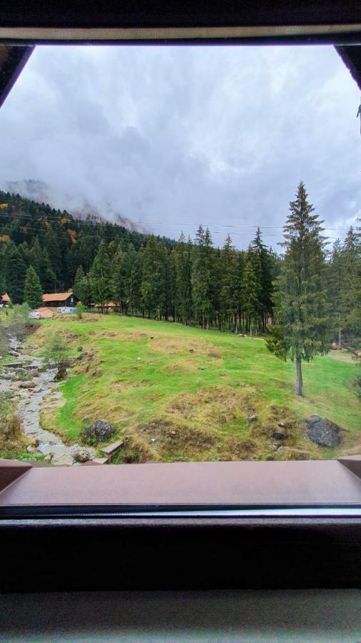 Hotel Casa Teleferic Buşteni Zewnętrze zdjęcie