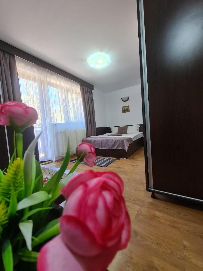 Hotel Casa Teleferic Buşteni Zewnętrze zdjęcie