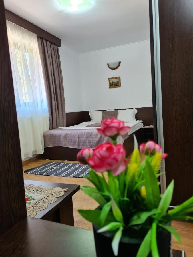 Hotel Casa Teleferic Buşteni Zewnętrze zdjęcie